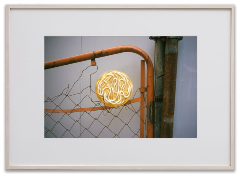 Gabriel Orozco Noodles in the Fence, 2000