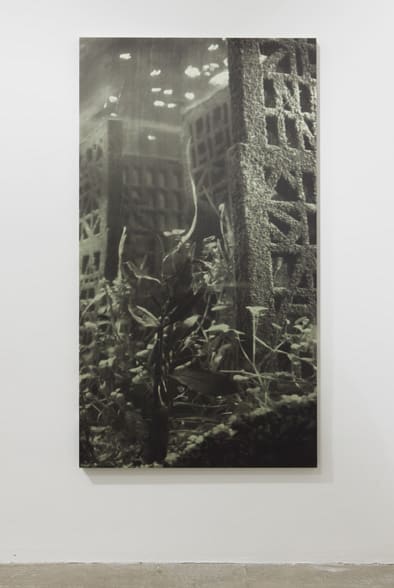 Cristina Iglesias Untitled (11), 2010