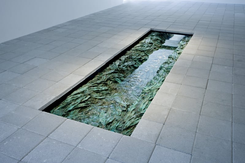 Cristina Iglesias Bajo La Superficie (Under the Surface), 2011