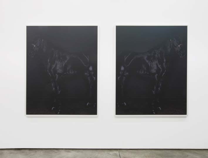 Sarah Jones Black Horse (Profile) (Black) (II/I & II), 2010-2013