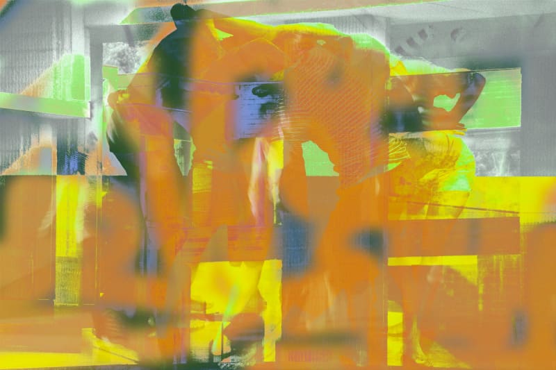 James Welling 0222, 2015