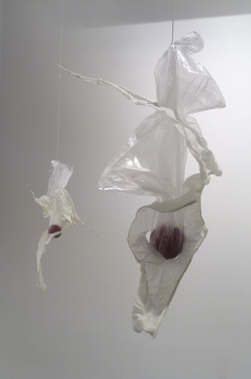 Gabriel Orozco Mixiotes, 2001