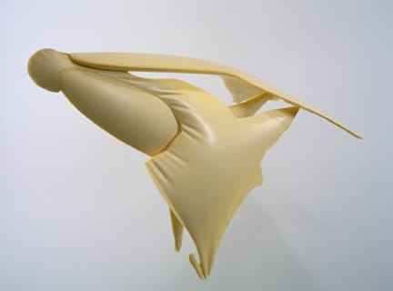 Gabriel Orozco Double Tail, 2003