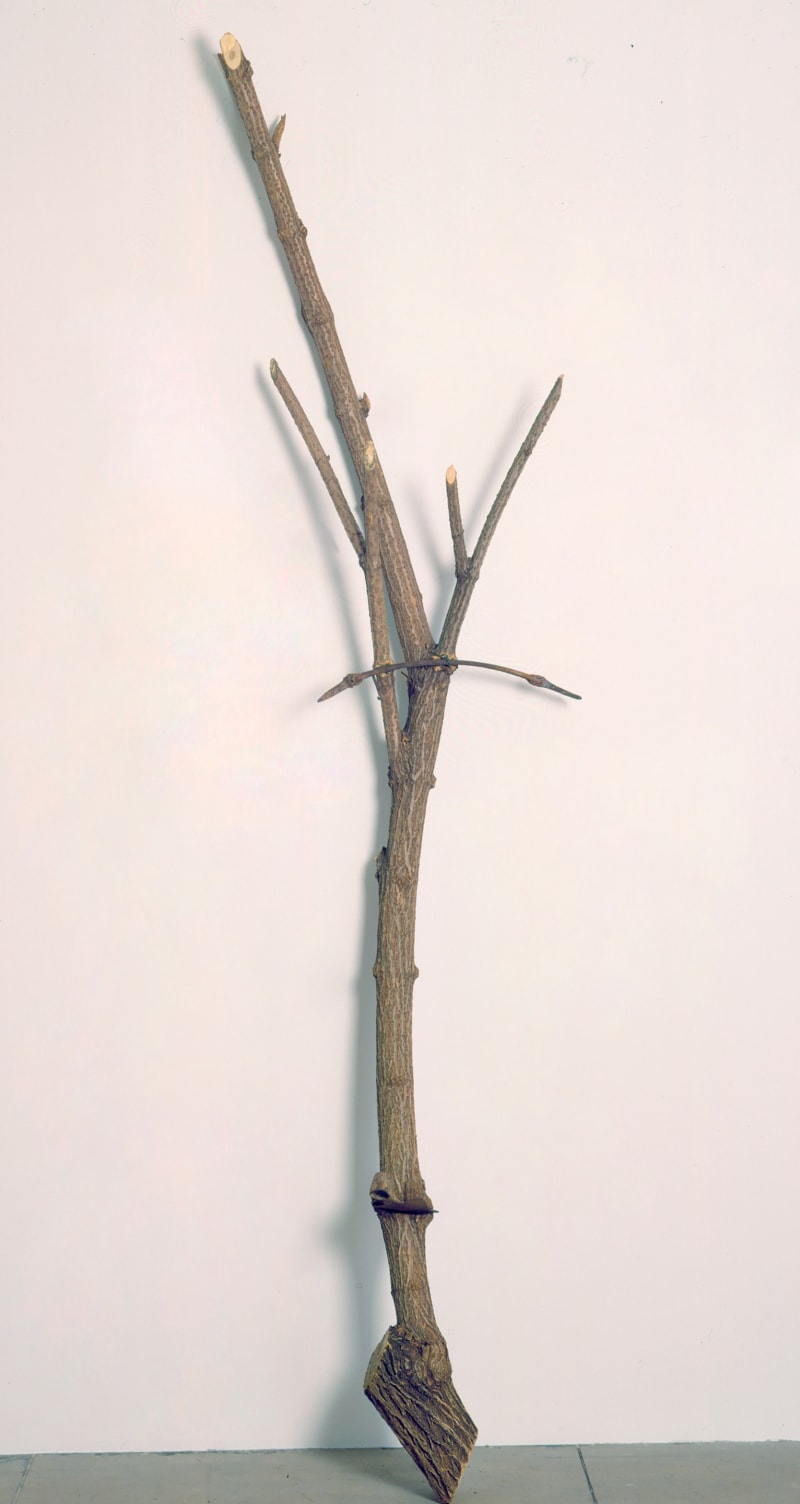 Giuseppe Penone Albero gesto e zappa, 1985-1991