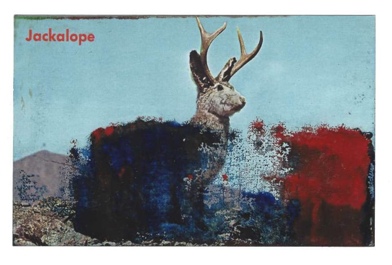 Tacita Dean Found Postcard Monoprint (Jackalope), 2018