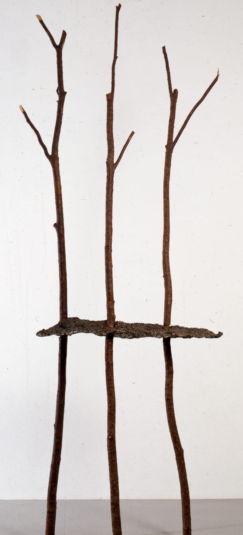 Giuseppe Penone Soffio ('Breath'), 1990
