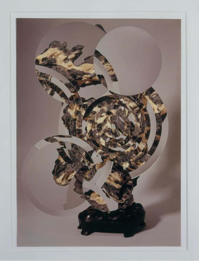 Gabriel Orozco Eroded Suizekis 6, 1998