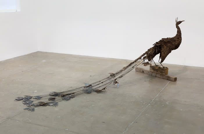 Petrit Halilaj Poisoned by men in need of some love (Pavo cristatus), 2013