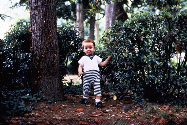 Jeff Wall In the Public Garden, 1993