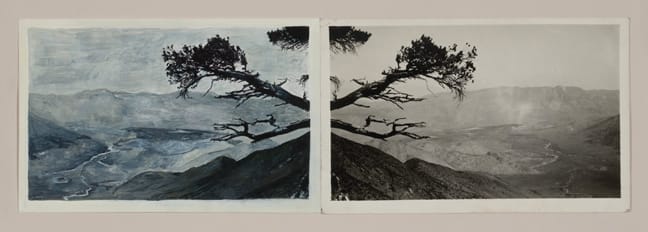 Tacita Dean Descanso, 2013