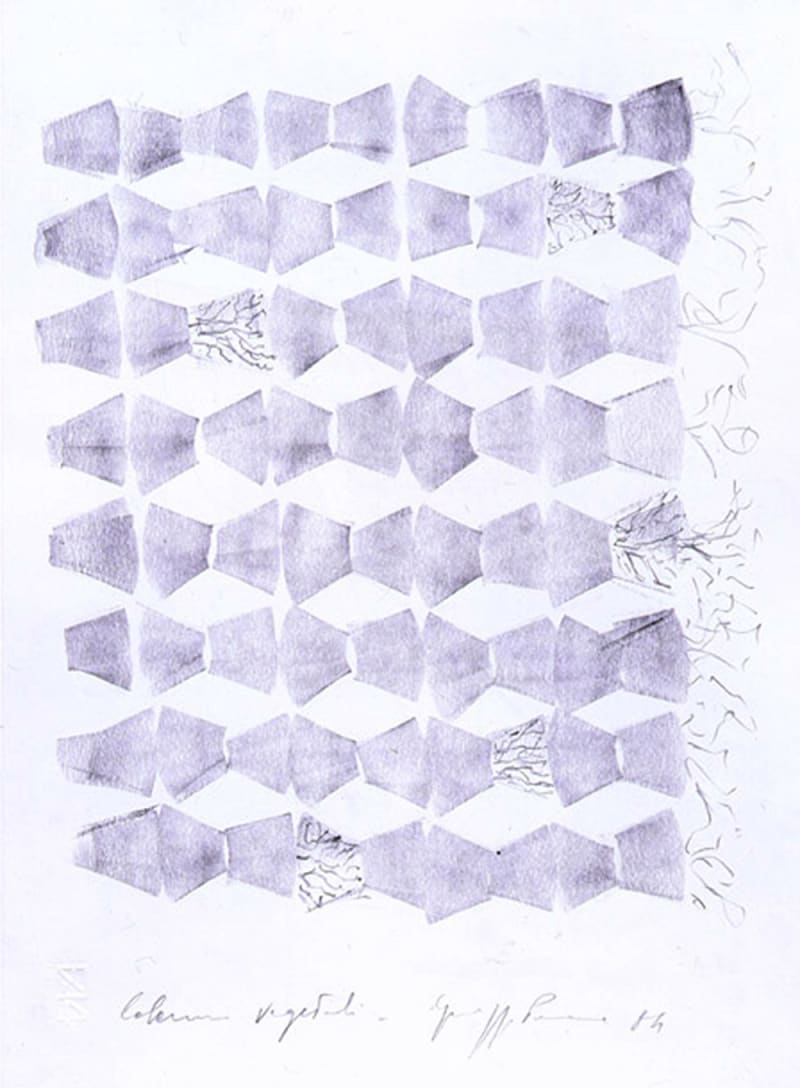 Giuseppe Penone Project for 'Vegetal Columns', 1985