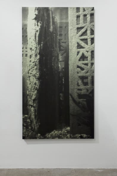 Cristina Iglesias Sin título, E.S. (Estudio 13/1), 2010