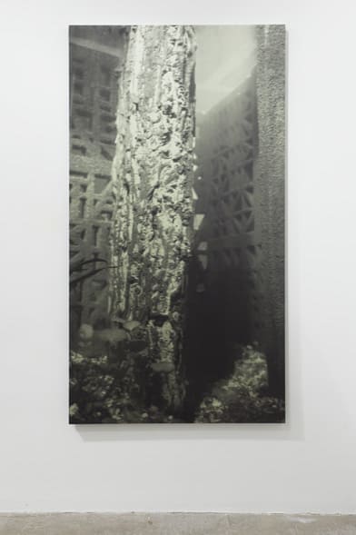 Cristina Iglesias Sin título, E.S. (Estudio 6/1), 2010