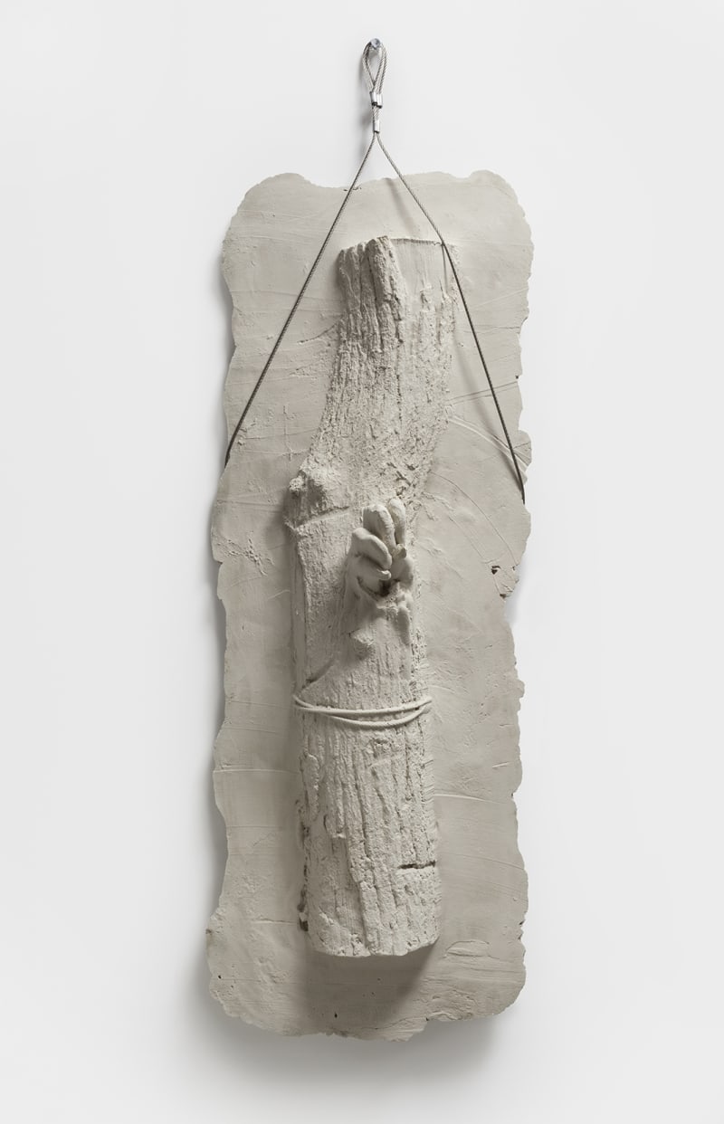 Giuseppe Penone Germinazione (Germination), 2005