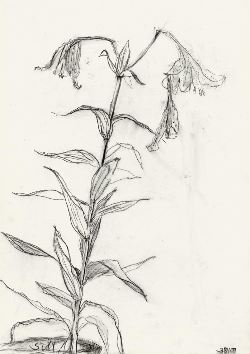 Sabine Moritz Lily 28, 2007