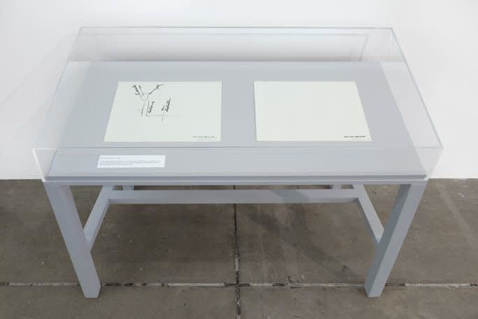 Stanley Brouwn This way Brouwn, 1962