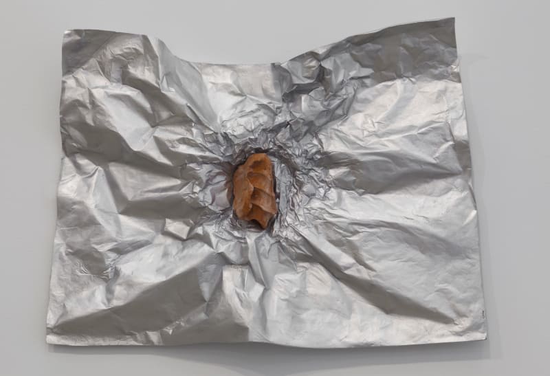 Giuseppe Penone Avvolgere la terra (To Enfold the Earth) (23), 2014