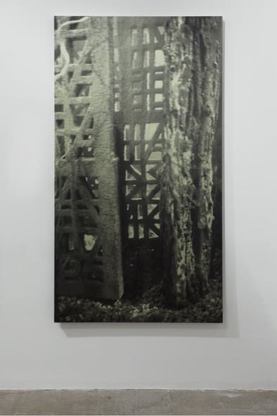 Cristina Iglesias Sin título, E.S. (Estudio 14/1), 2010