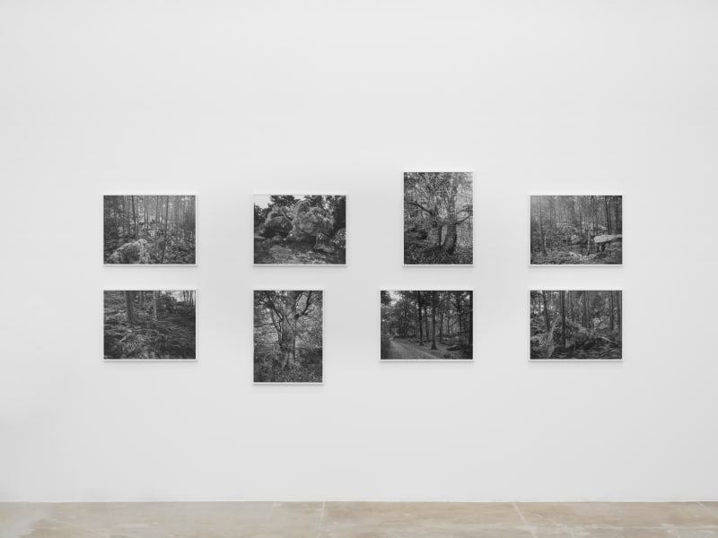 James Welling Barbizon, 2025 Set of 8 digital inkjet prints Image: 24 x 18 in. (61 x 45.7 cm) (each)...