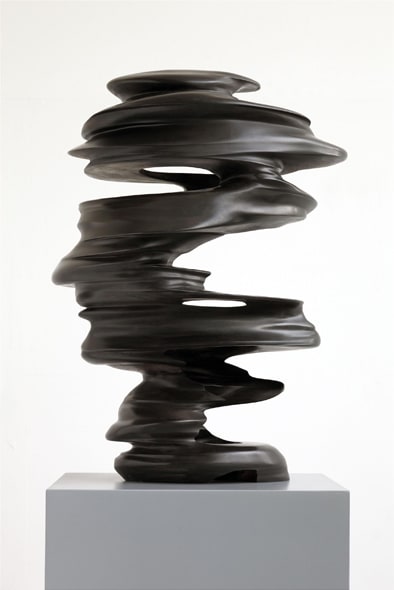 Tony Cragg Hollow Head,, 2008