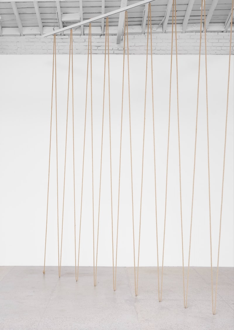 Leonor Antunes discrepancies with W.W., 2025 Hemp ropes Dimensions variable