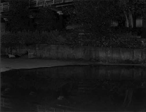 Jeff Wall Night, 2001