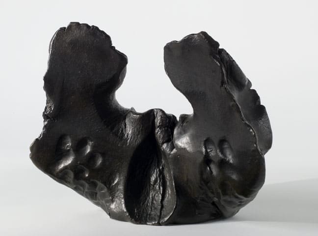 Gabriel Orozco Pelvis (Tirage), 2007
