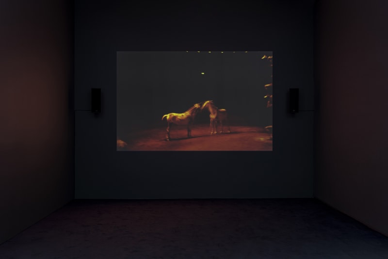Nan Goldin Memory Lost, 2019-2021