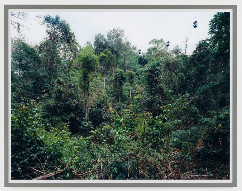 Thomas Struth Paradise 11, (Xi Shuang Banna) Provinz Yunnan/China, 1999
