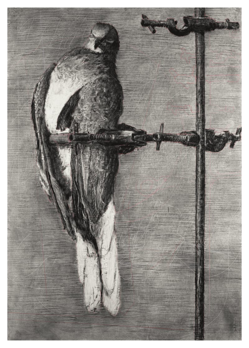 William Kentridge Bird Catcher, 2006