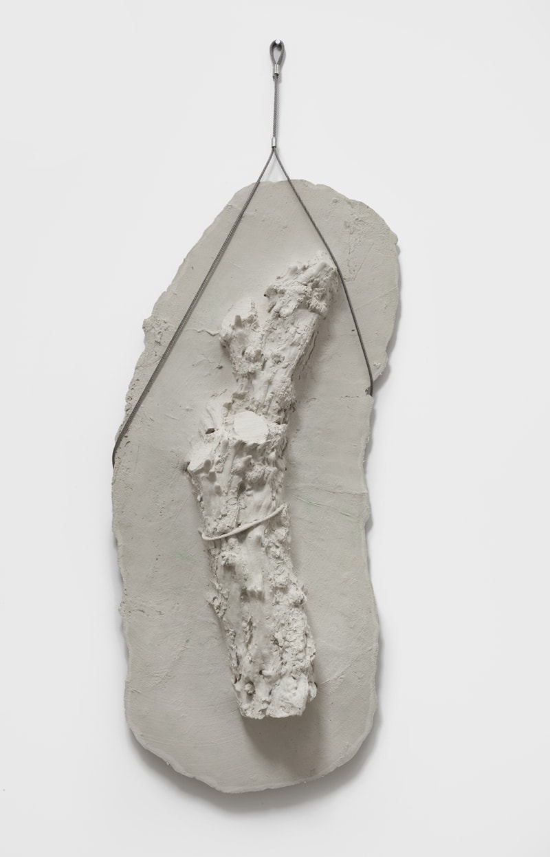 Giuseppe Penone Germinazione (Germination), 2005