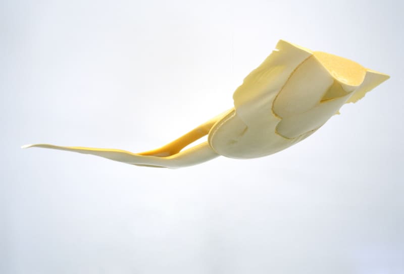 Gabriel Orozco Spume Stream, 2003