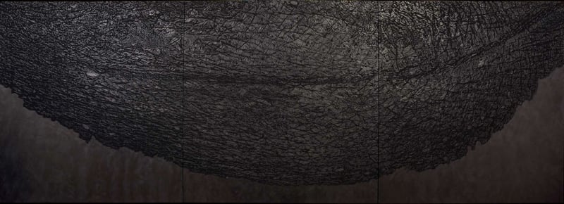 Giuseppe Penone Pelle di grafite - palpebra (Skin of Graphite - Eyelid), 2012