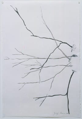 Giuseppe Penone Untitled, 1999