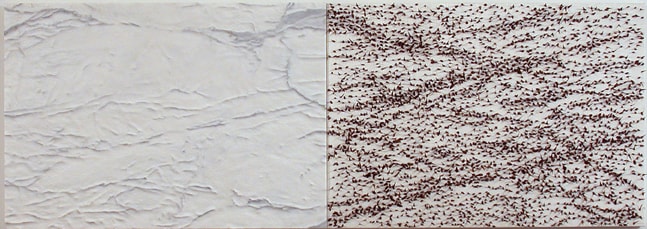 Giuseppe Penone Pelle di Marmo e Spine D'Acacia (Adele), 2002