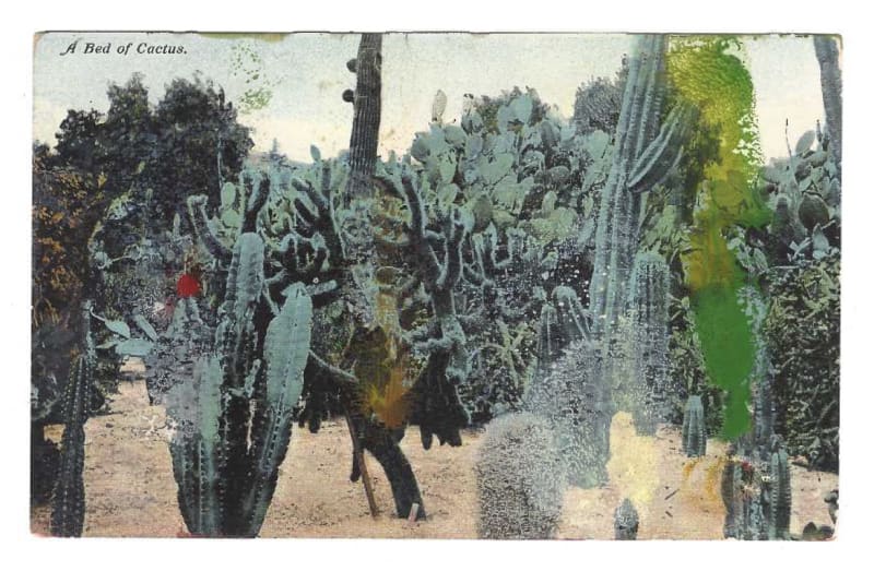 Tacita Dean Found Postcard Monoprint (A Bed of Cactus), 2018