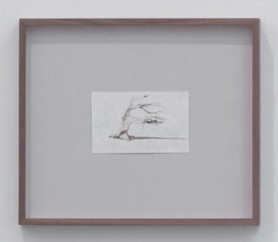 Tacita Dean White, 2012