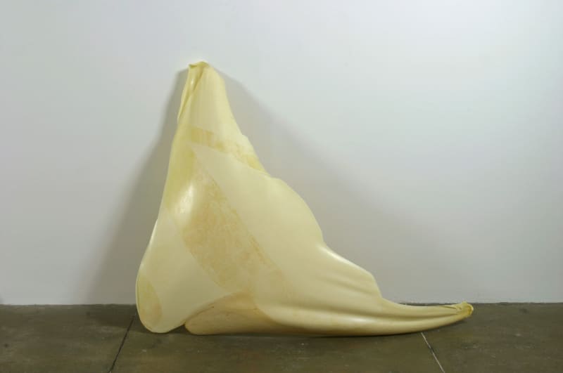 Gabriel Orozco Spume Wing, 2003