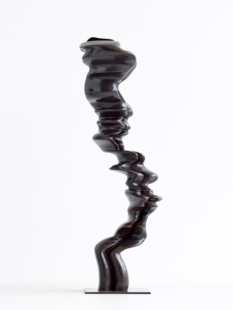 Tony Cragg Marian Goodman Gallery