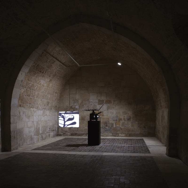 Tacita Dean The Friar's Doodle, 2010