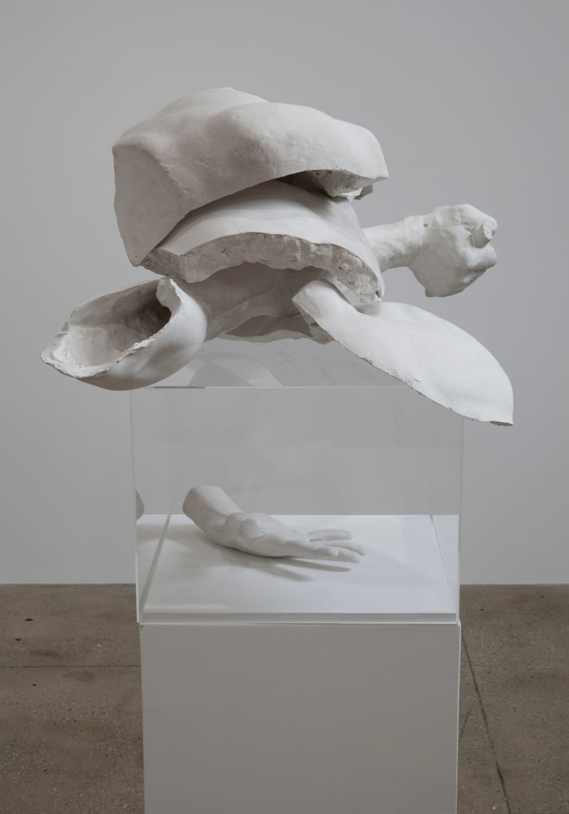 Giulio Paolini Ante Litteram, 1985