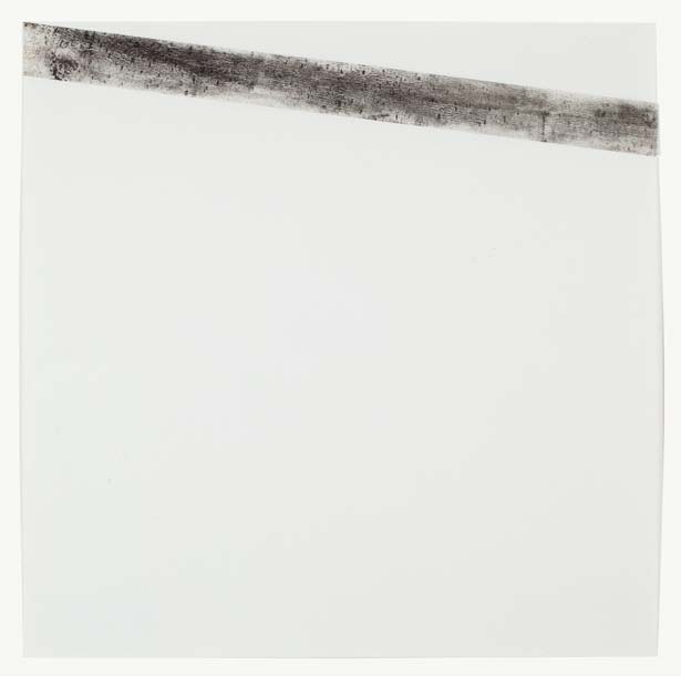 Giuseppe Penone 16 pagine, from edition of 108 + 19 PP + 10 EA; EA 4/10, 2011