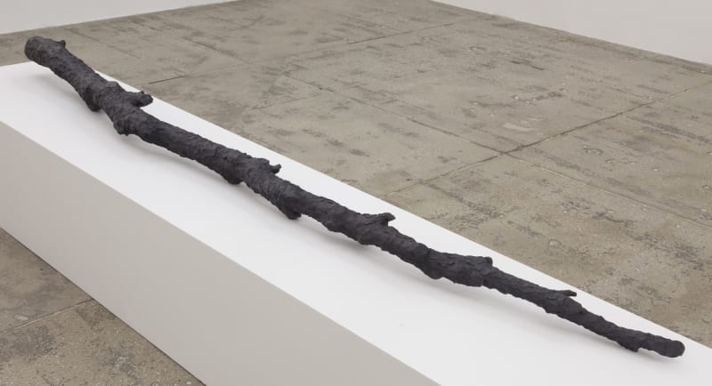 Giuseppe Penone Gli anni dell'albero più uno (The Years of the Tree plus One), 1969-2013