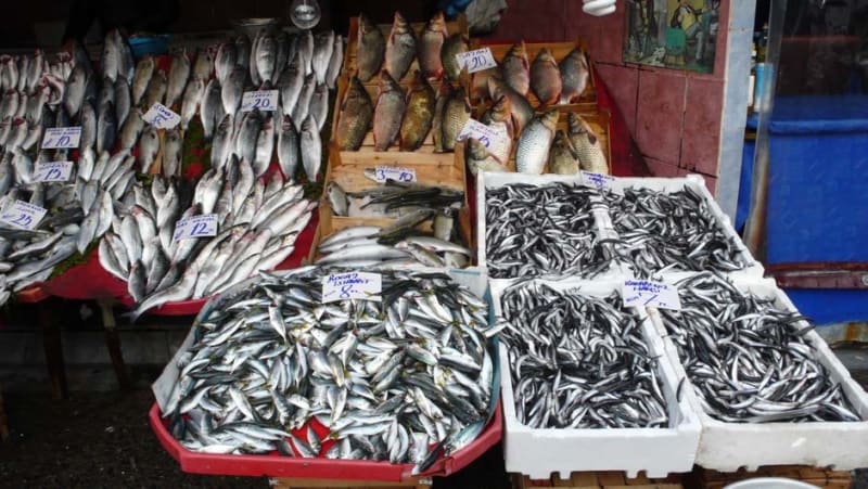 Richard Deacon Istanbul, 2013