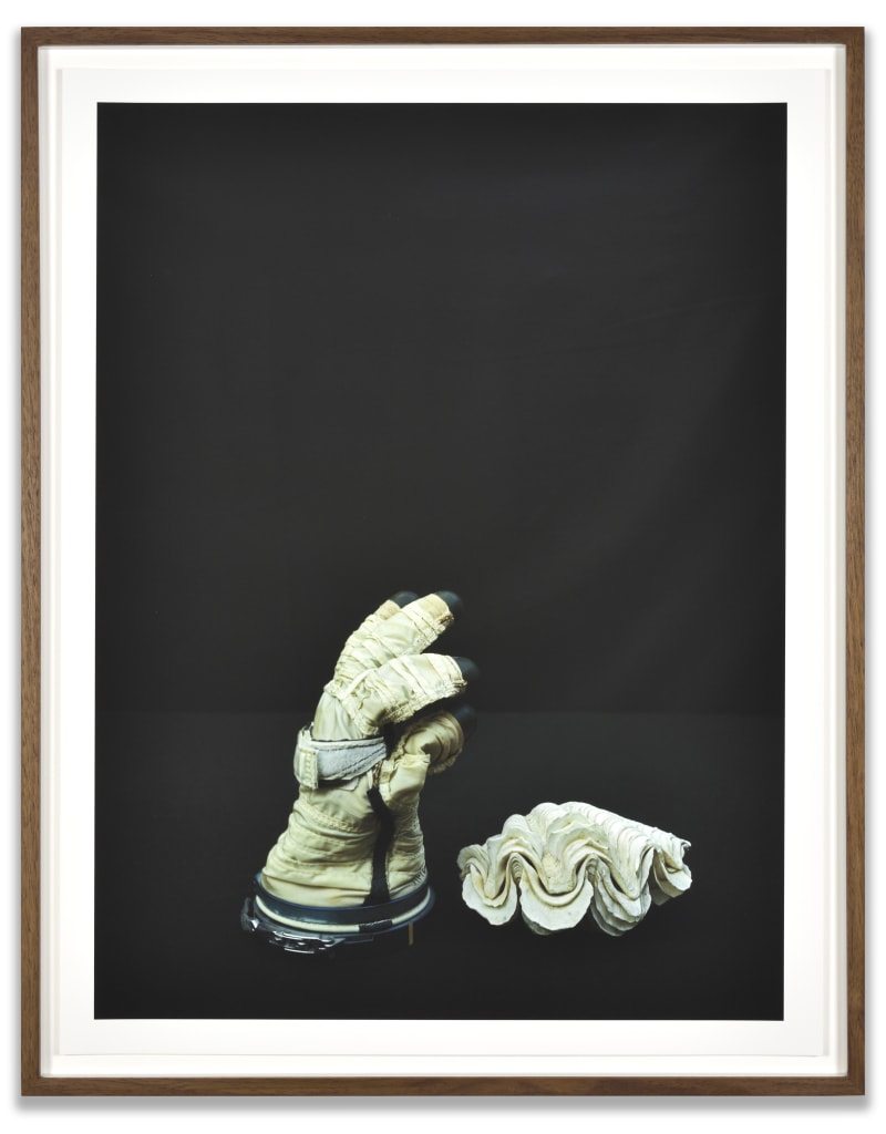 Luciano Perna Cosmonaut Glove and Clamshell, 2020
