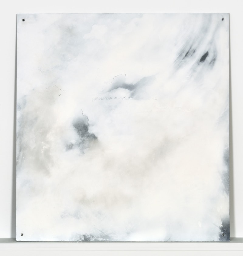 Tacita Dean (those clouds removed), 2015