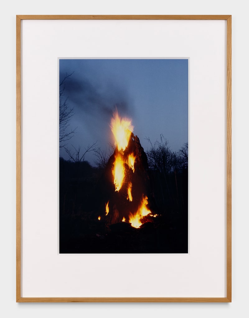 Ana Mendieta Untitled: Silueta Series, 1978 Color photograph 20 x 16 in. (50.8 x 40.6 cm) Edition of 20 plus...