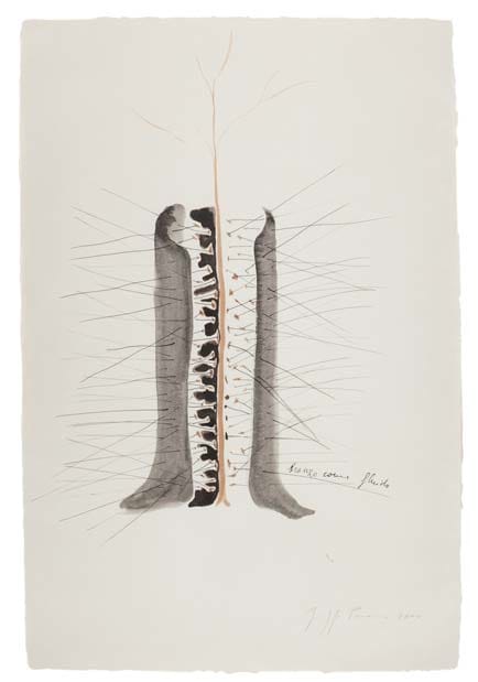 Giuseppe Penone Untitled, 2000