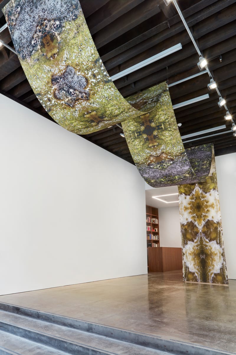 Carolina Caycedo Wanaawna, 2019 Back to back photograph printed on cotton canvas 590 1/2 x 63 in. (1499.9 x 160...