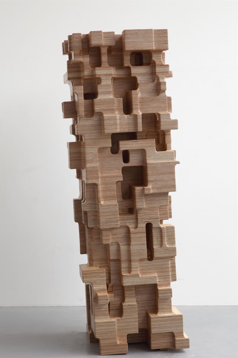 Tony Cragg Chip, 2011